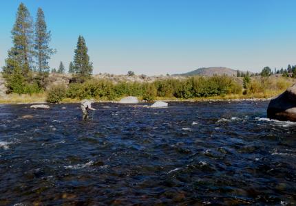 Truckee River