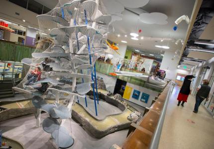 Nevada Discovery Museum