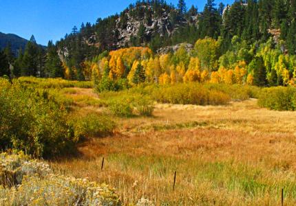 Hope Valley