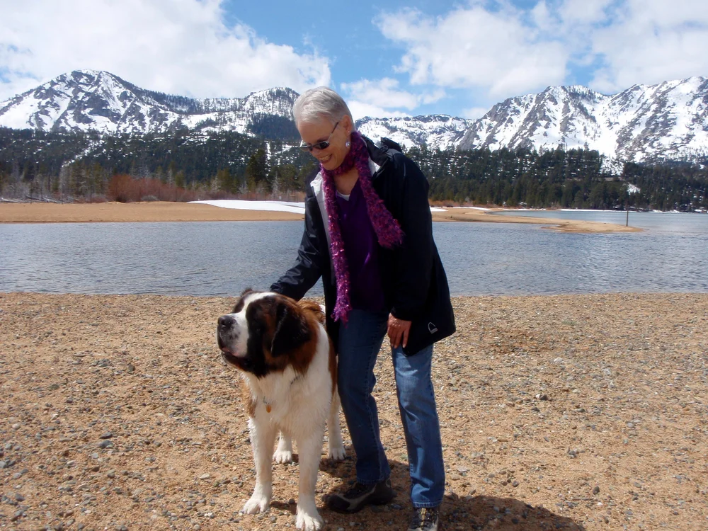 Dog Friendly Activities Lake Tahoe: Adventure Awaits