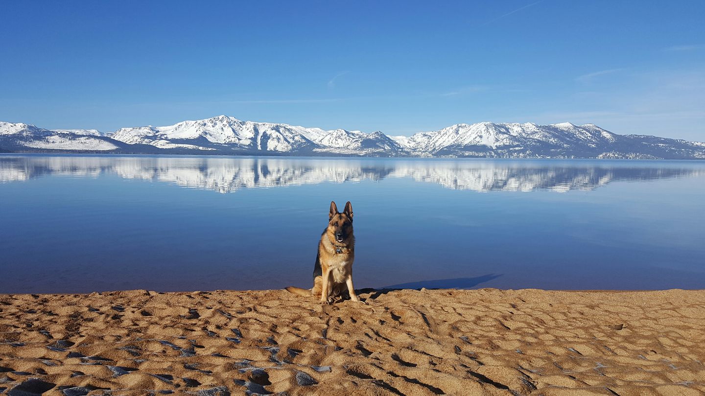 Titan at the Beach