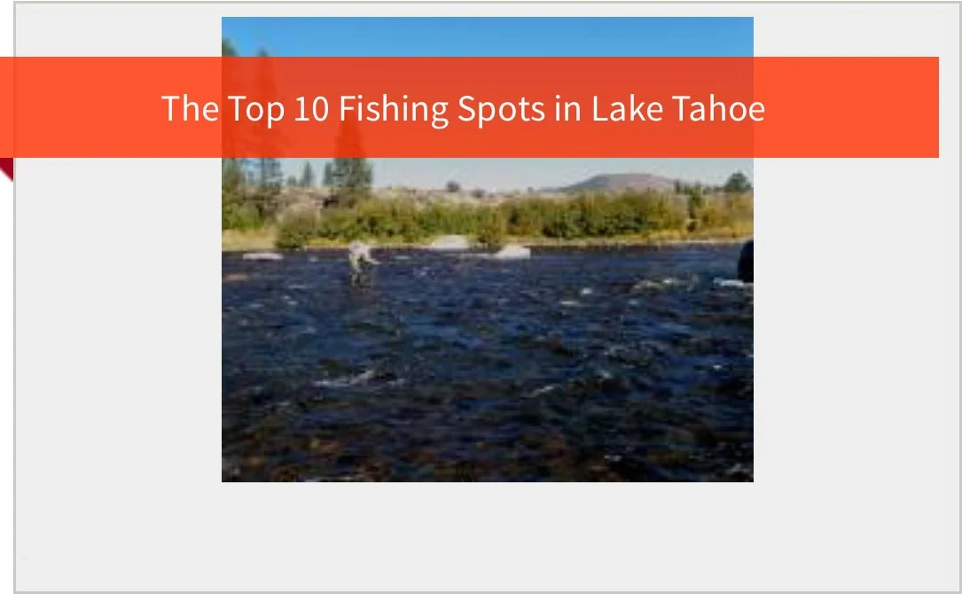 top-10-fishing-spots-in-lake-tahoe.jpg