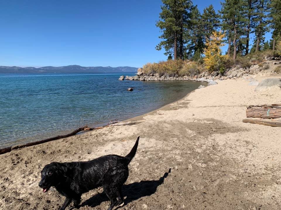 Top 10 Lake Tahoe Beaches Laketahoe Com