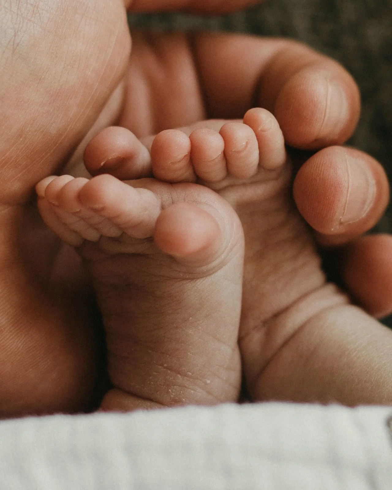 untitled a-184_websize.jpeg