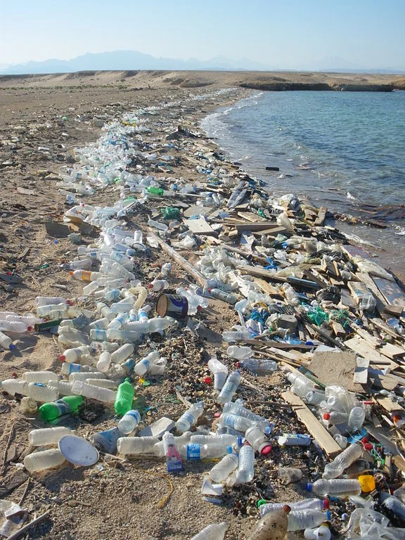 Beach-in-Sharm-al-Naga.jpg