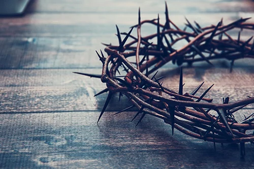 crown-of-thorns.jpg