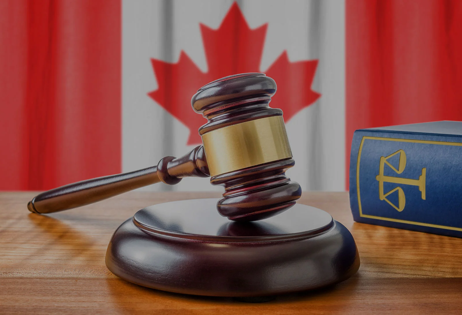 Our Response to the Trinity Western Supreme Court Decision