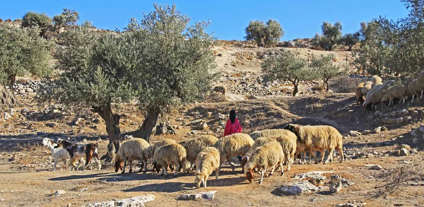The Bible Keeps its Promises – O Little Town of Bethlehem