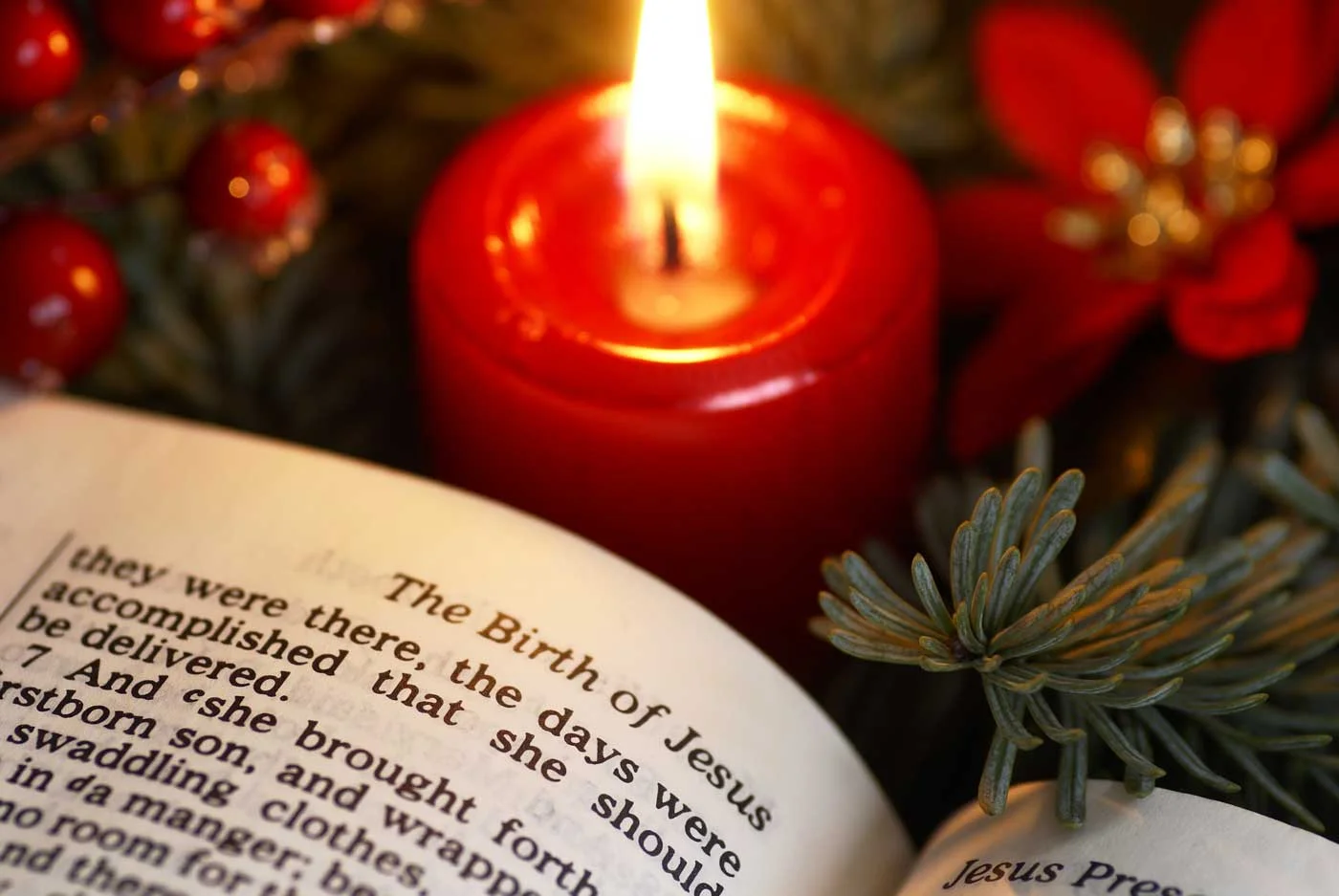 The Bible Keeps Its Promises—Many Miraculous Births