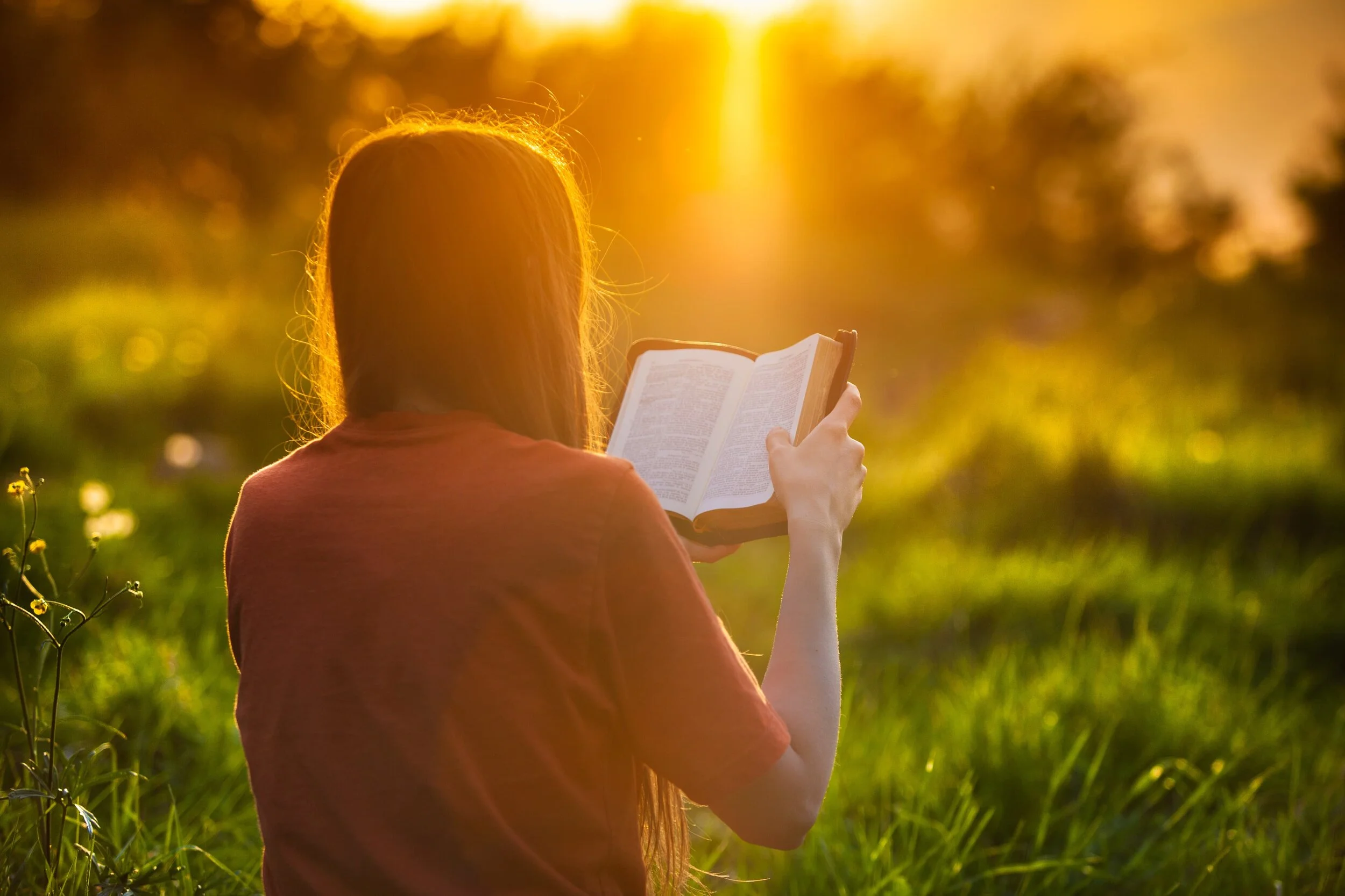 Renew Your Mind and Your Heart Will Follow