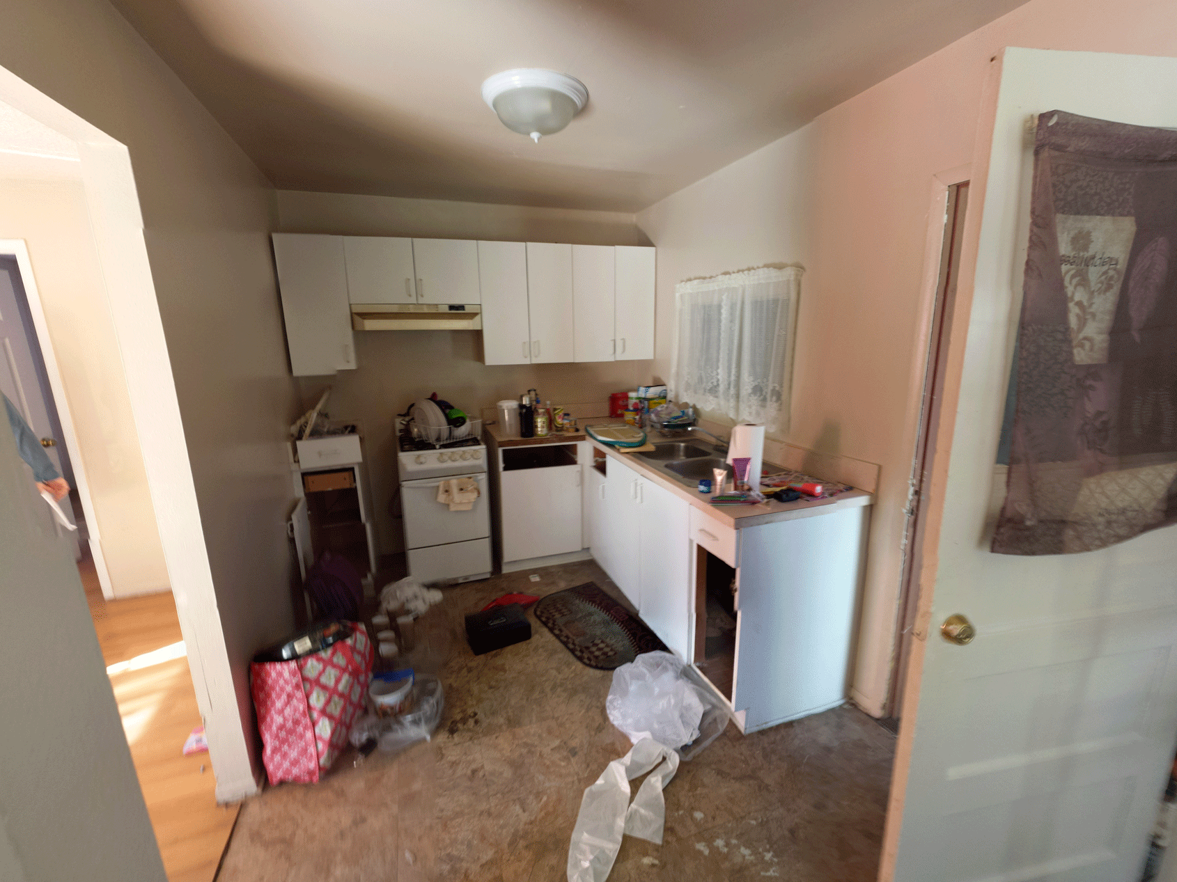 Pre-Renovation Kitchen
