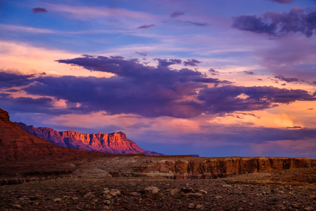 untitled shoot-5604_WEB.jpg