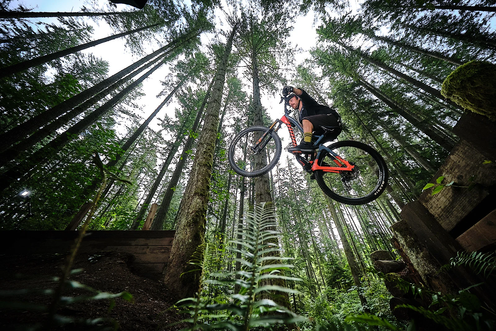 DuthiePark_NinerMTB00013.jpg
