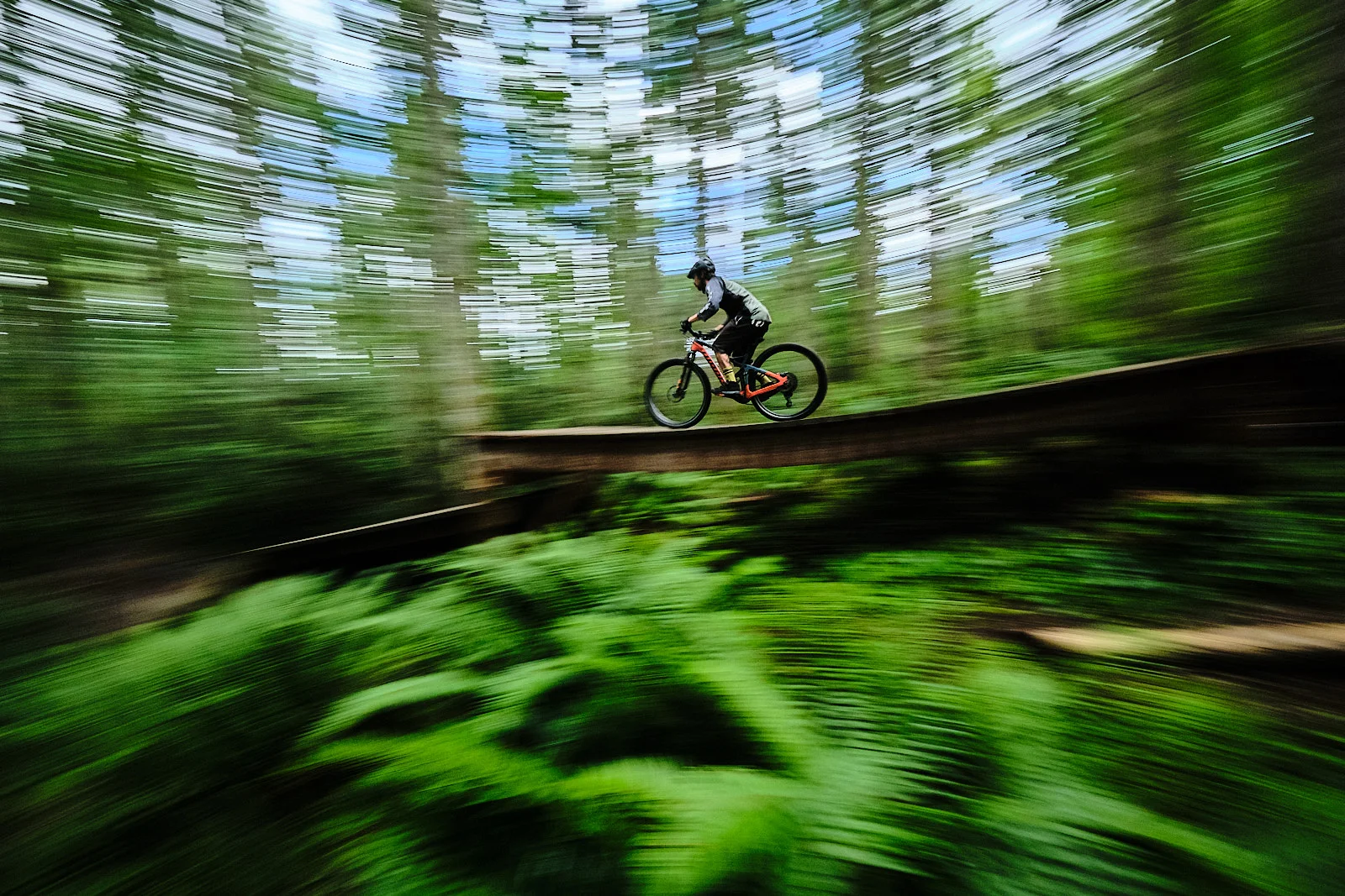 DuthiePark_NinerMTB00520.jpg
