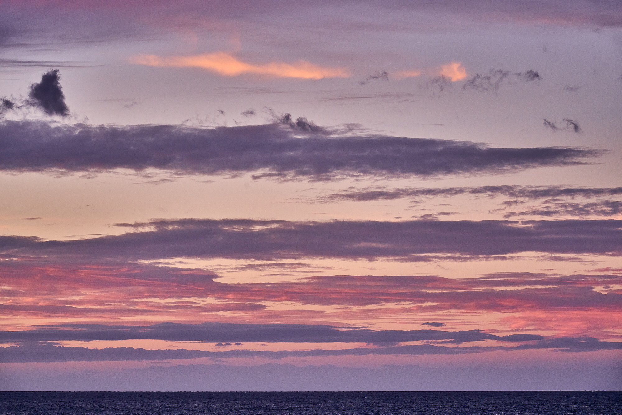 KPL_0118_bigisland. 4652.jpg