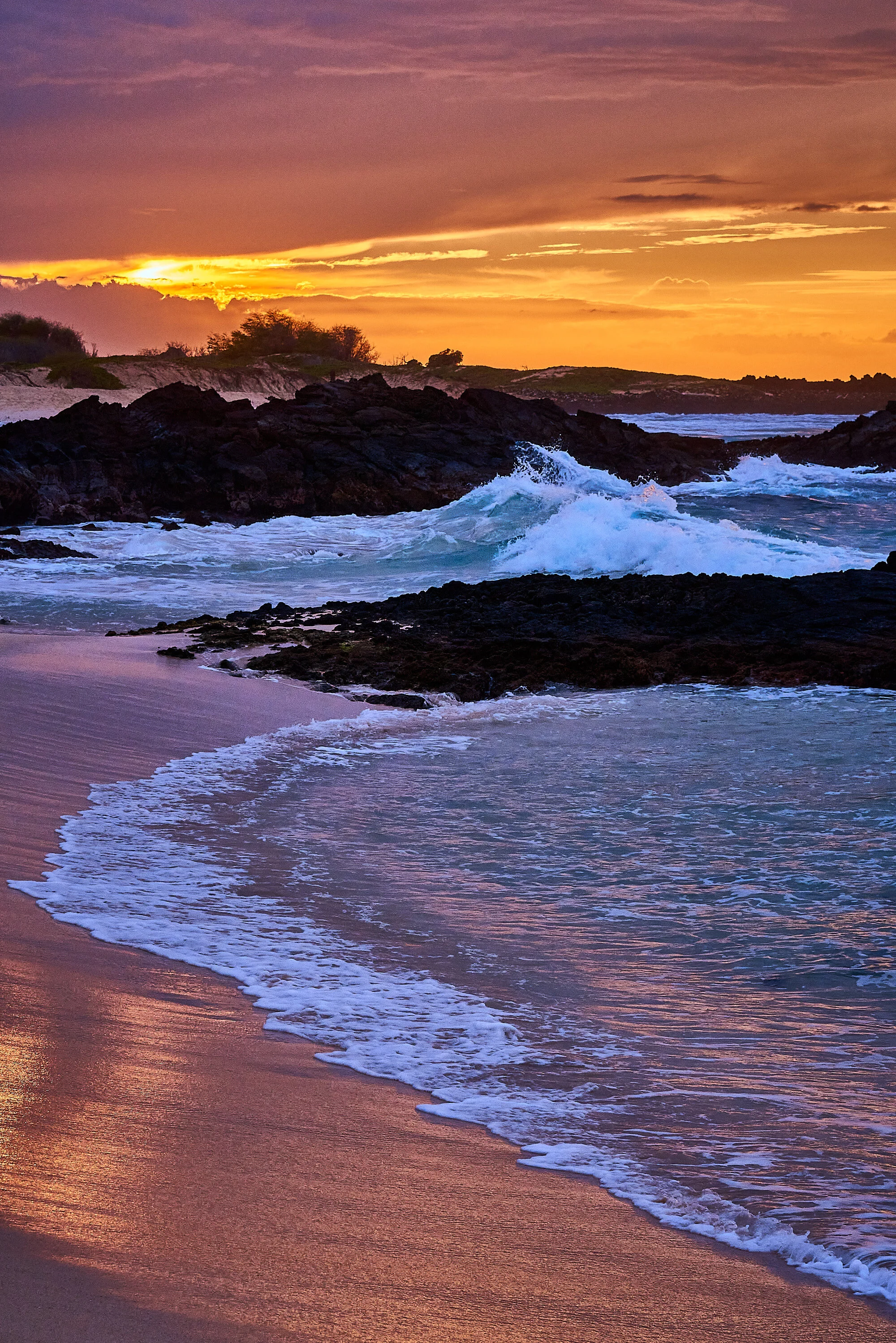 KPL_0118_bigisland. 4586.jpg