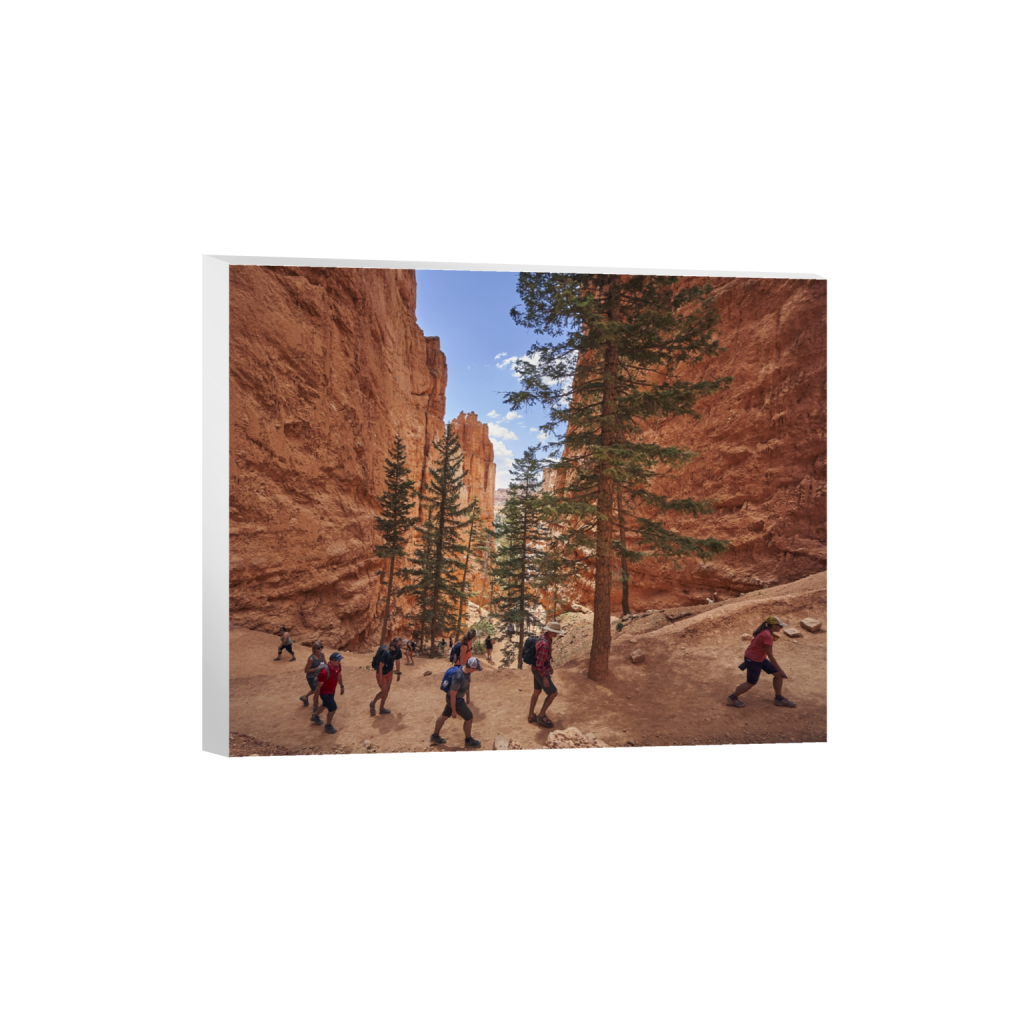 canvas_rectangle4_5_991_0_5900_4720_0.png
