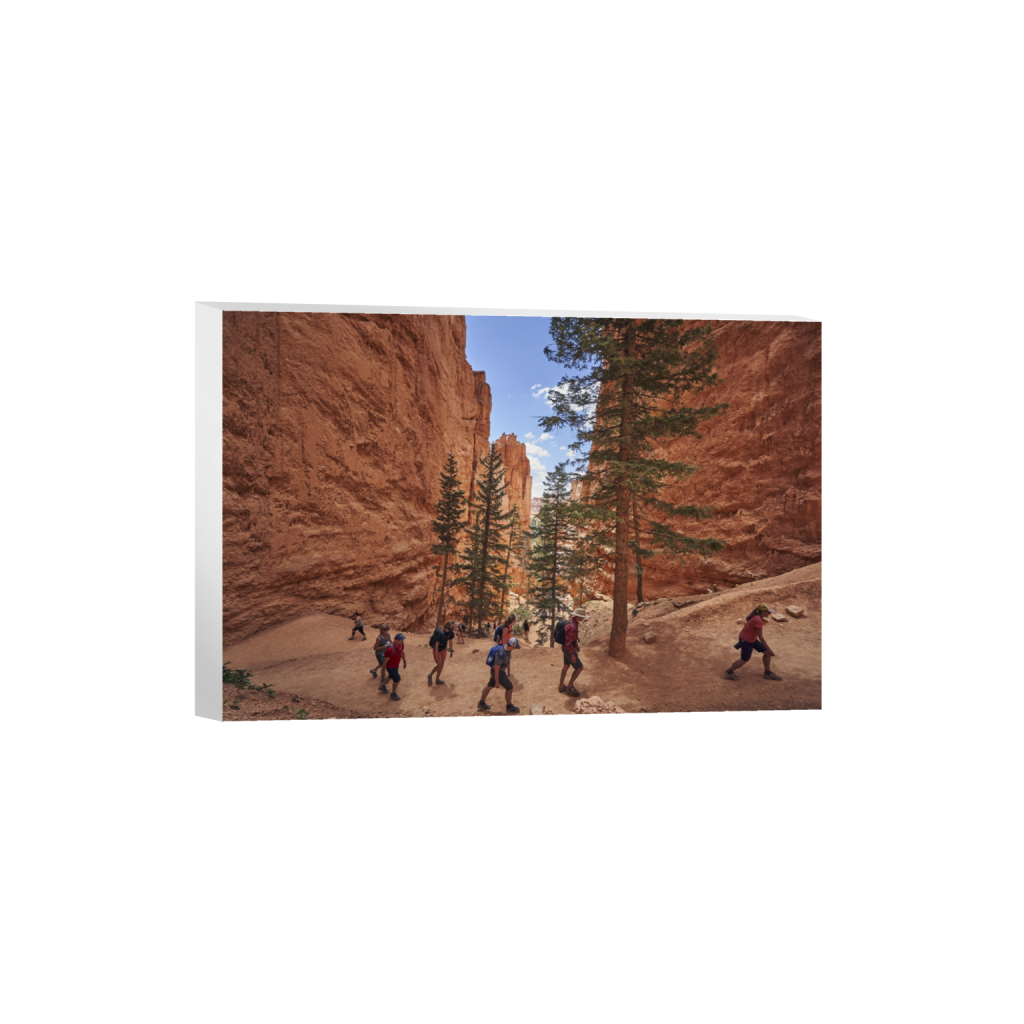 canvas_rectangle2_3_0_0_7080_4720_0.png