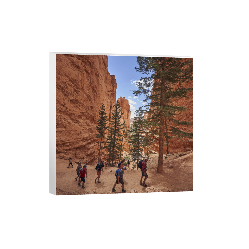 canvas_square_1038_0_4720_4720_0.png