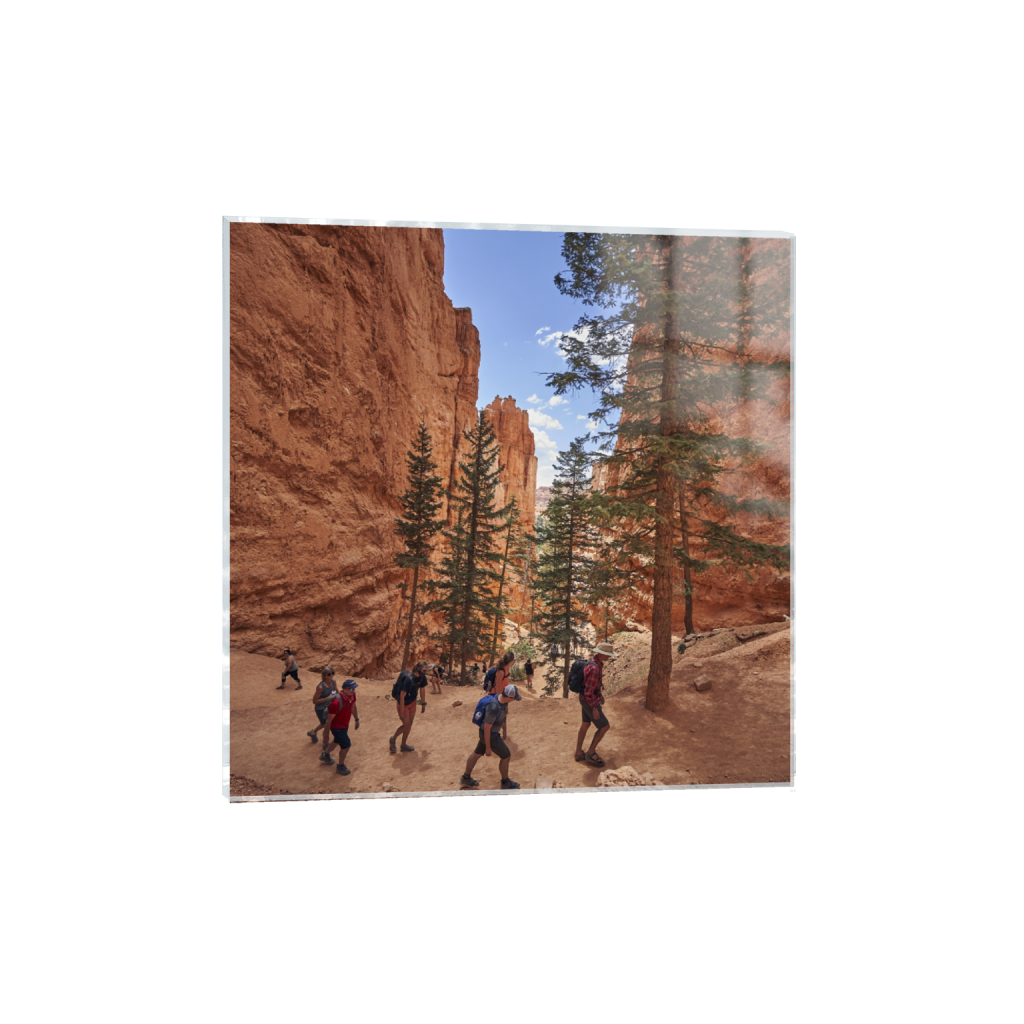 acrylicprint_square_1038_0_4720_4720_0.png