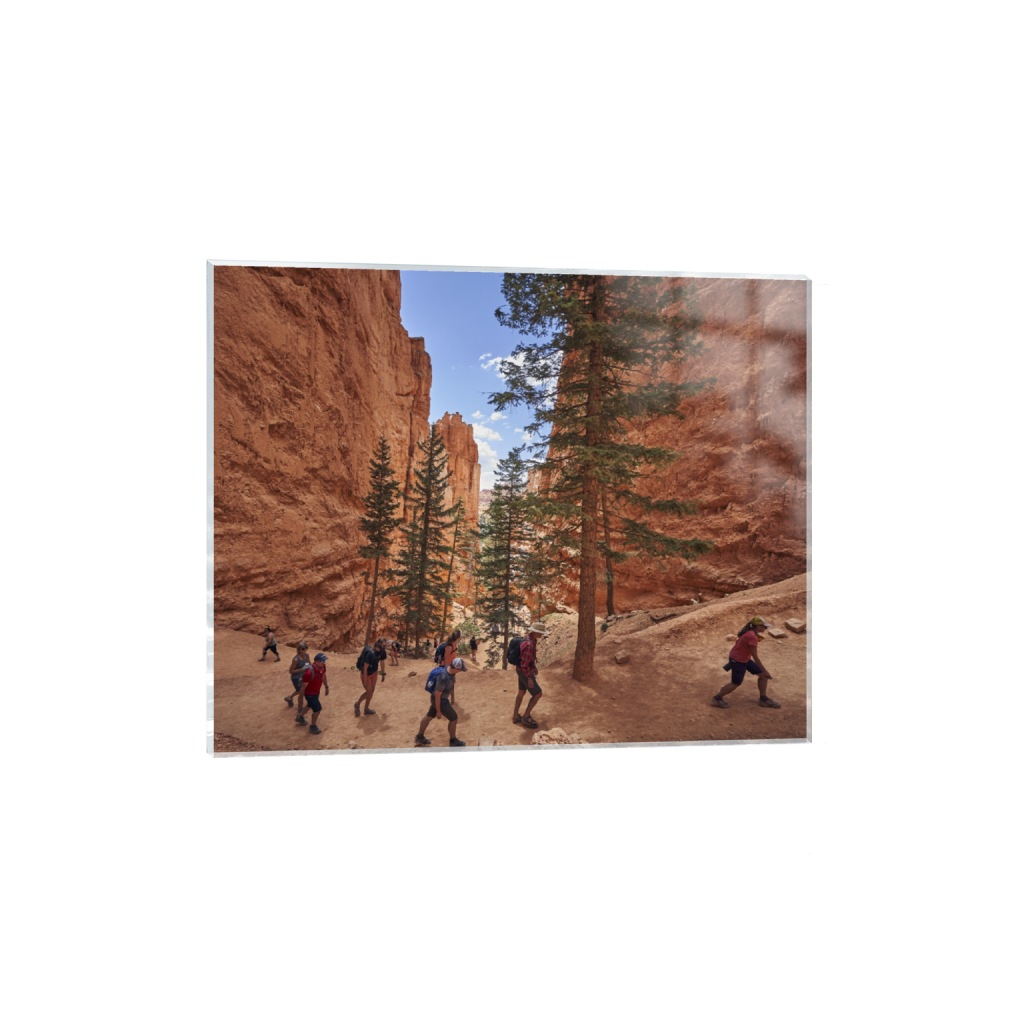 acrylicprint_rectangle4_5_991_0_5900_4720_0.png