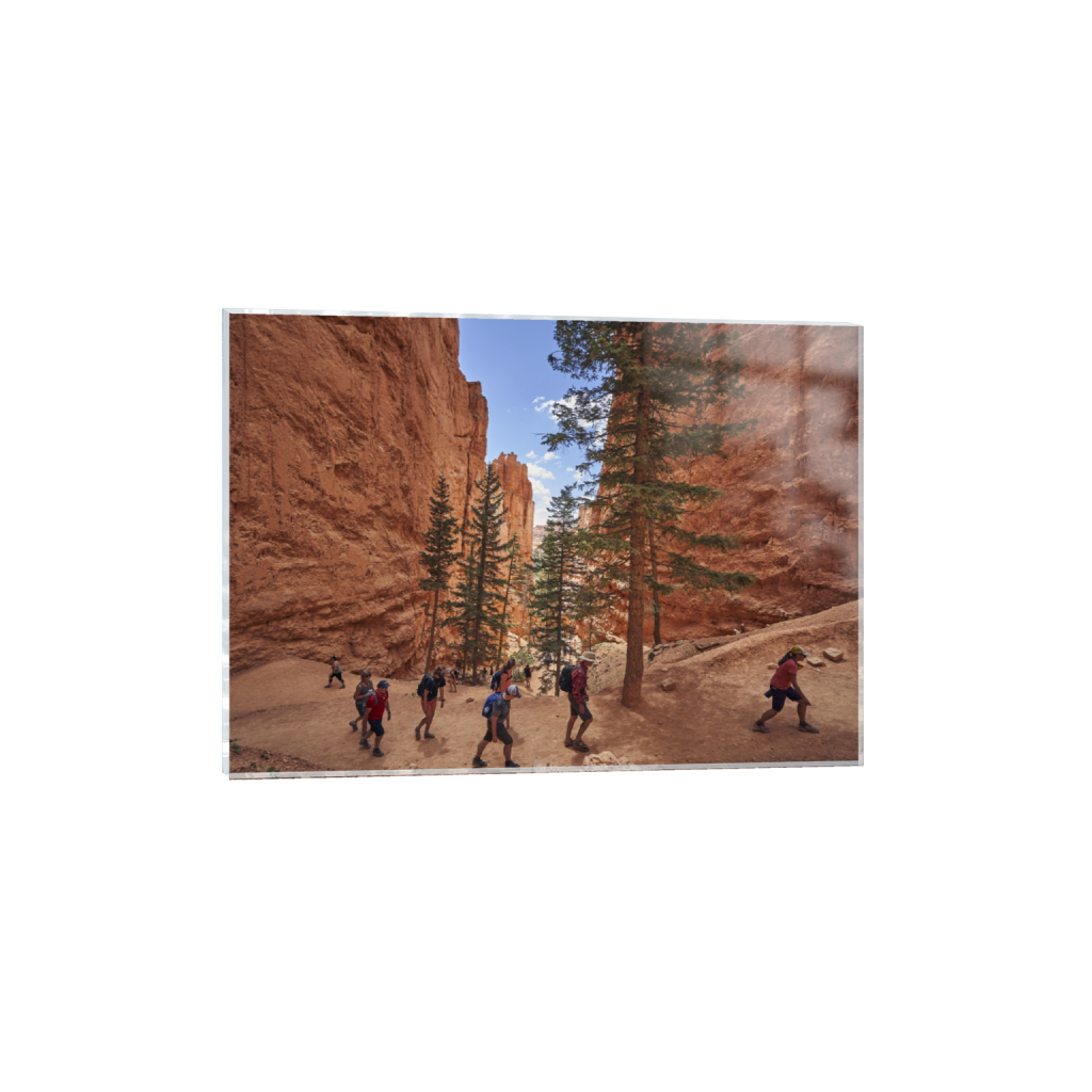 acrylicprint_rectangle5_7_472_0_6608_4720_0.png