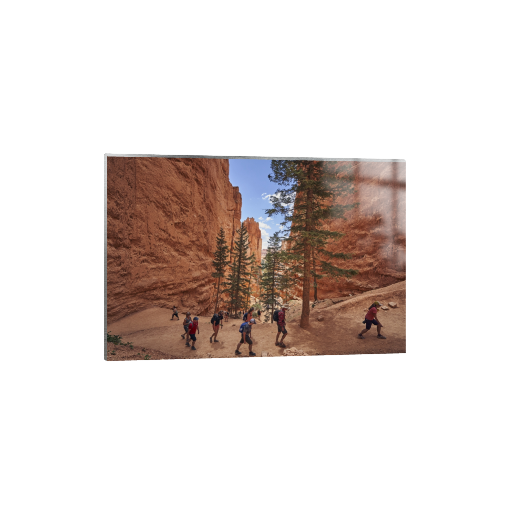 metalprint_rectangle2_3_0_0_7080_4720_0.png