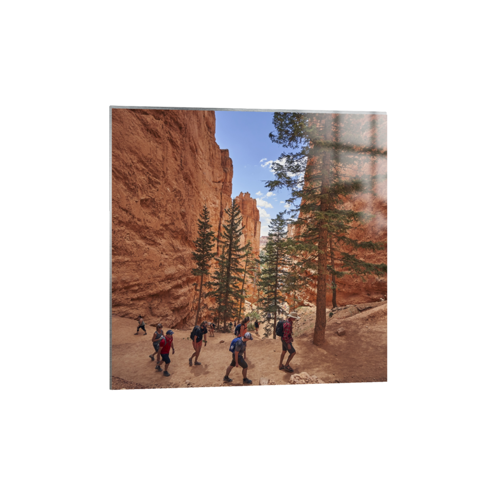 metalprint_square_1038_0_4720_4720_0.png