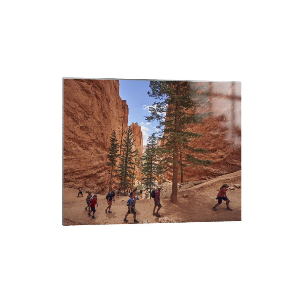 metalprint_rectangle4_5_991_0_5900_4720_0.png