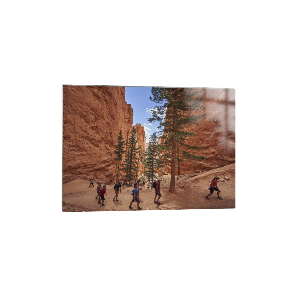 metalprint_rectangle5_7_472_0_6608_4720_0.png