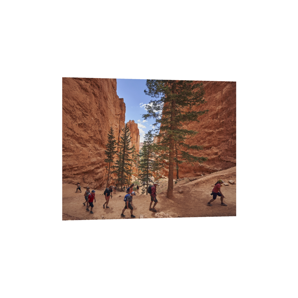 fineartprints_rectangle4_5_991_0_5900_4720_0.png