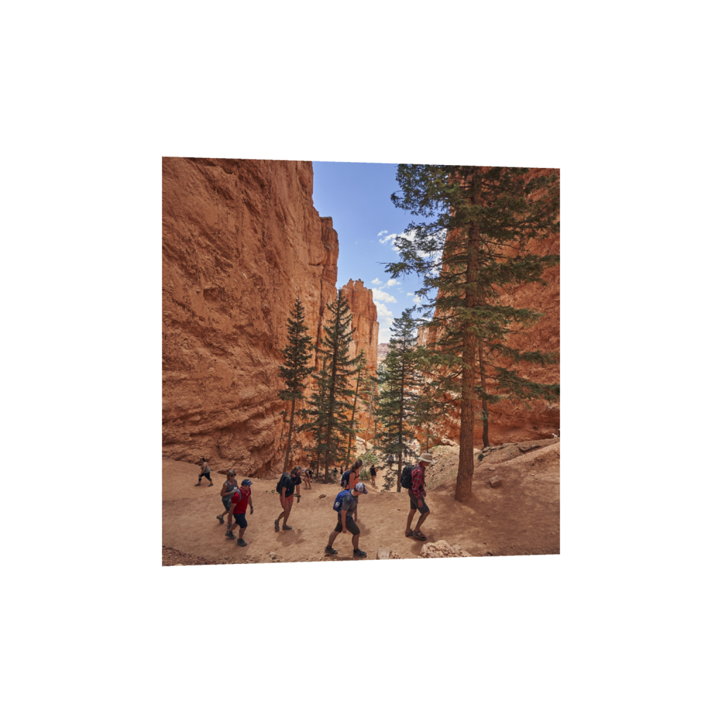 fineartprints_square_1038_0_4720_4720_0.png