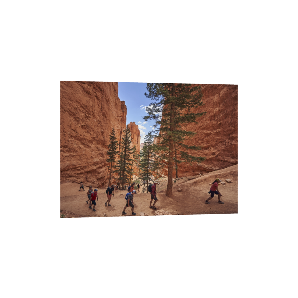 fineartprints_rectangle3_4_802_0_6293_4720_0.png