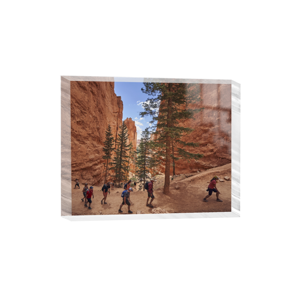 acrylicdesktopprint_rectangle4_5_991_0_5900_4720_0.png