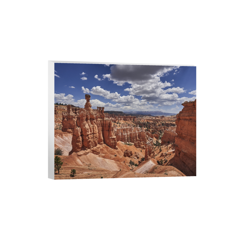 canvas_rectangle4_5_590_0_5900_4720_0.png