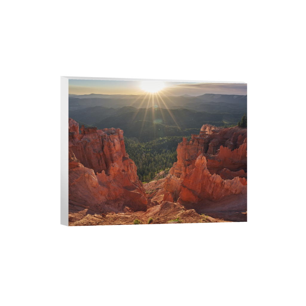 canvas_rectangle4_5_590_0_5900_4720_0.png