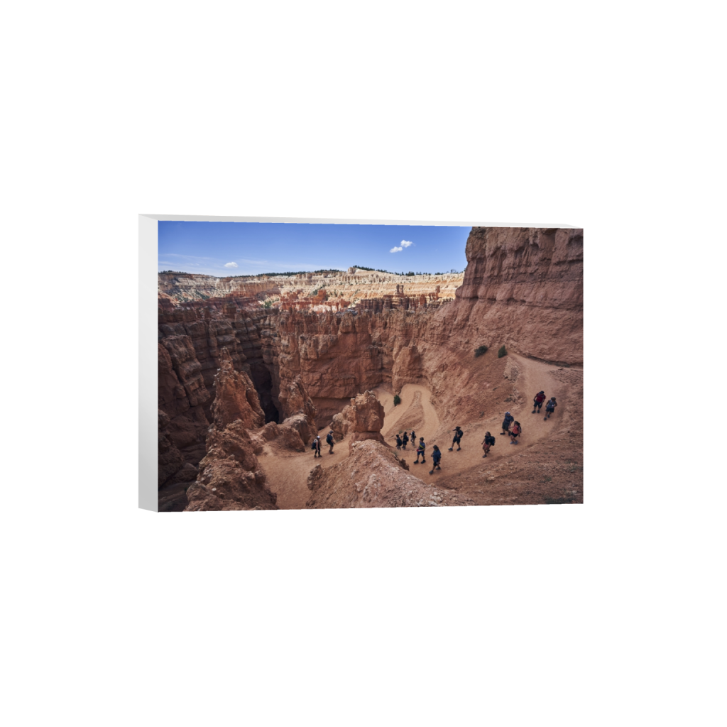 canvas_rectangle2_3_0_0_7080_4720_0.png