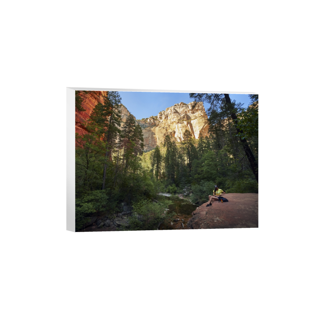 canvas_rectangle3_4_802_0_6293_4720_0.png
