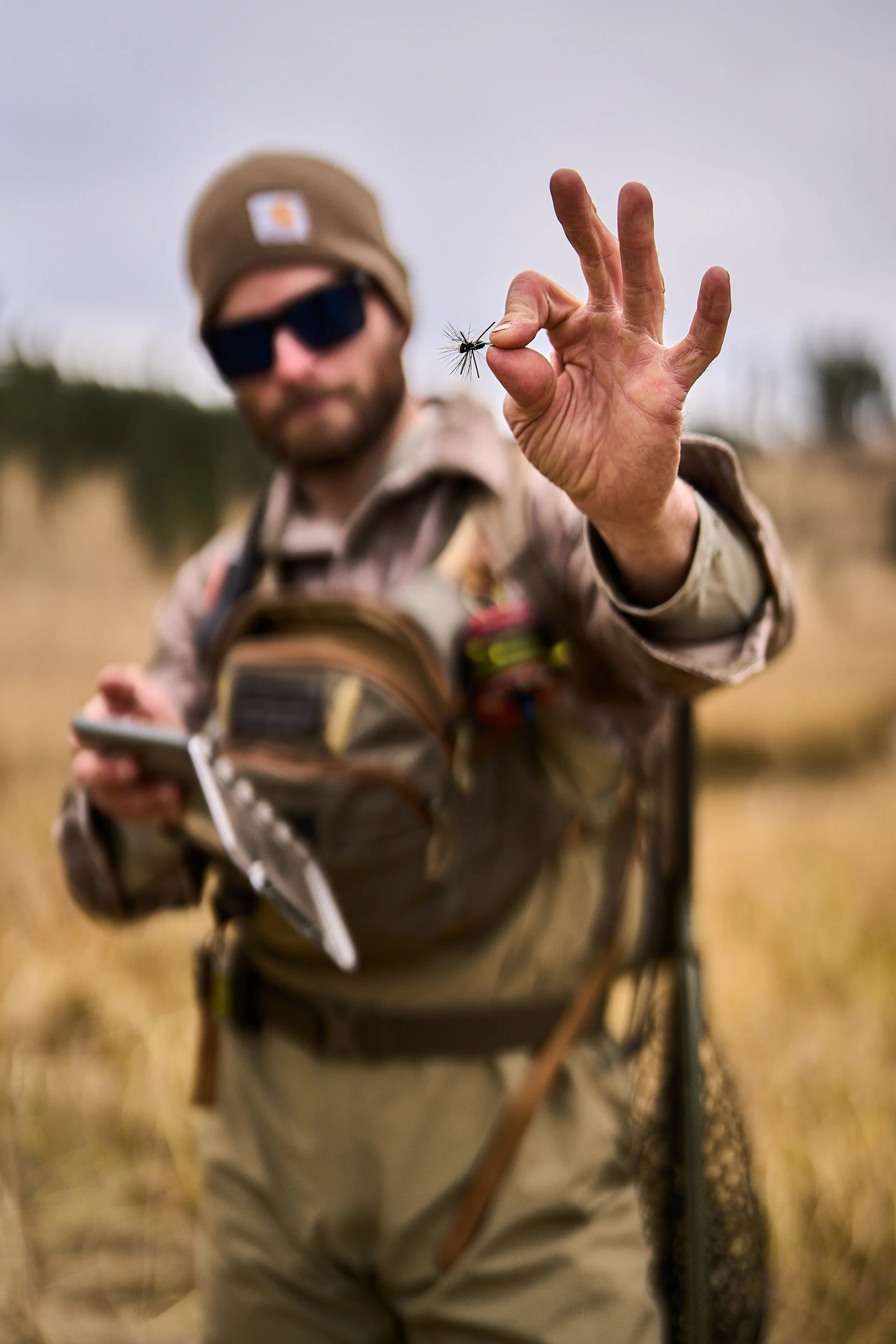 KPL_1101_AZW_HenryCamp_DeadoutDesertWheat.294.jpg