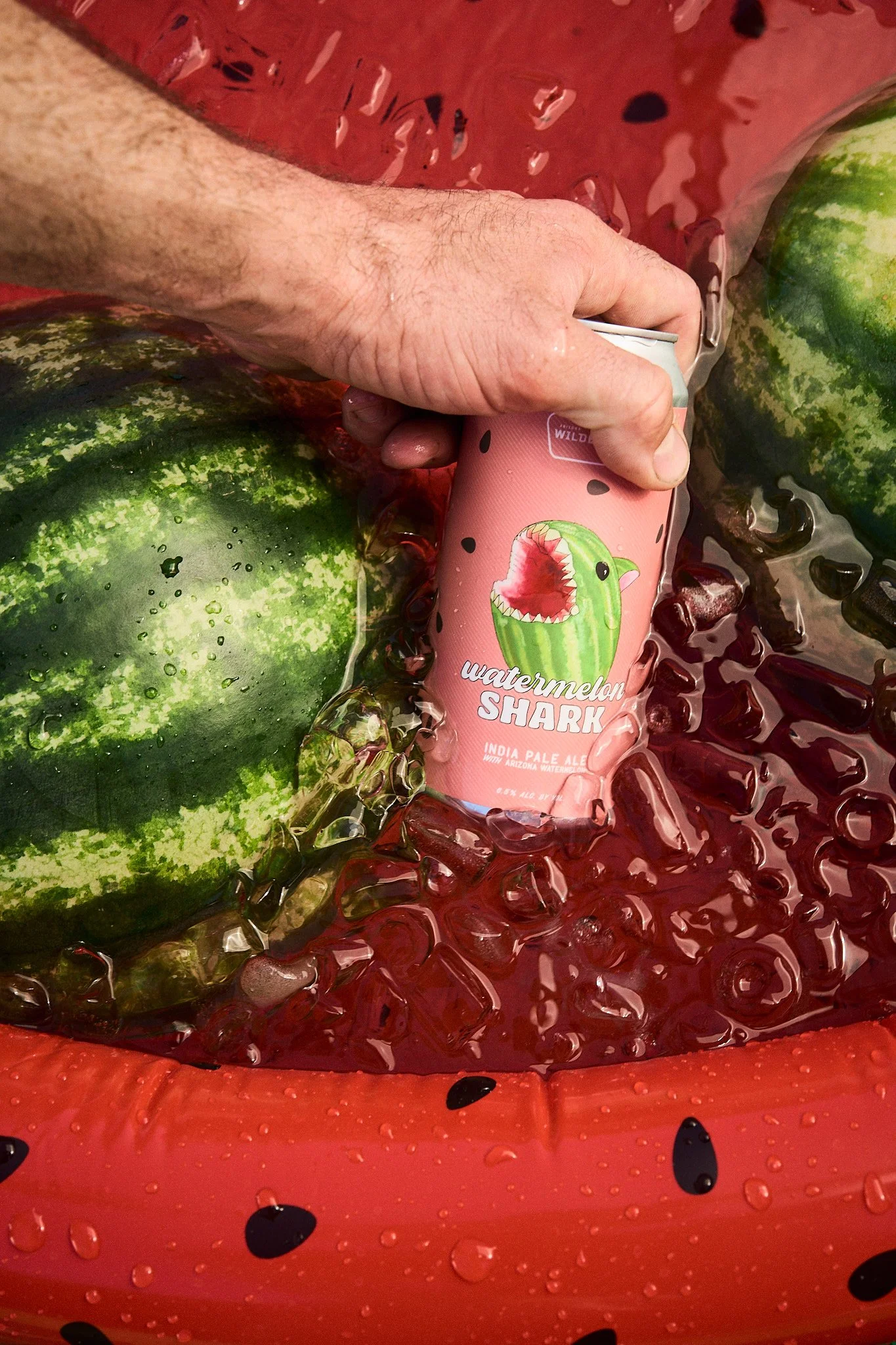 KPL_0806_AZW_WatermelonShark.0148.JPEG