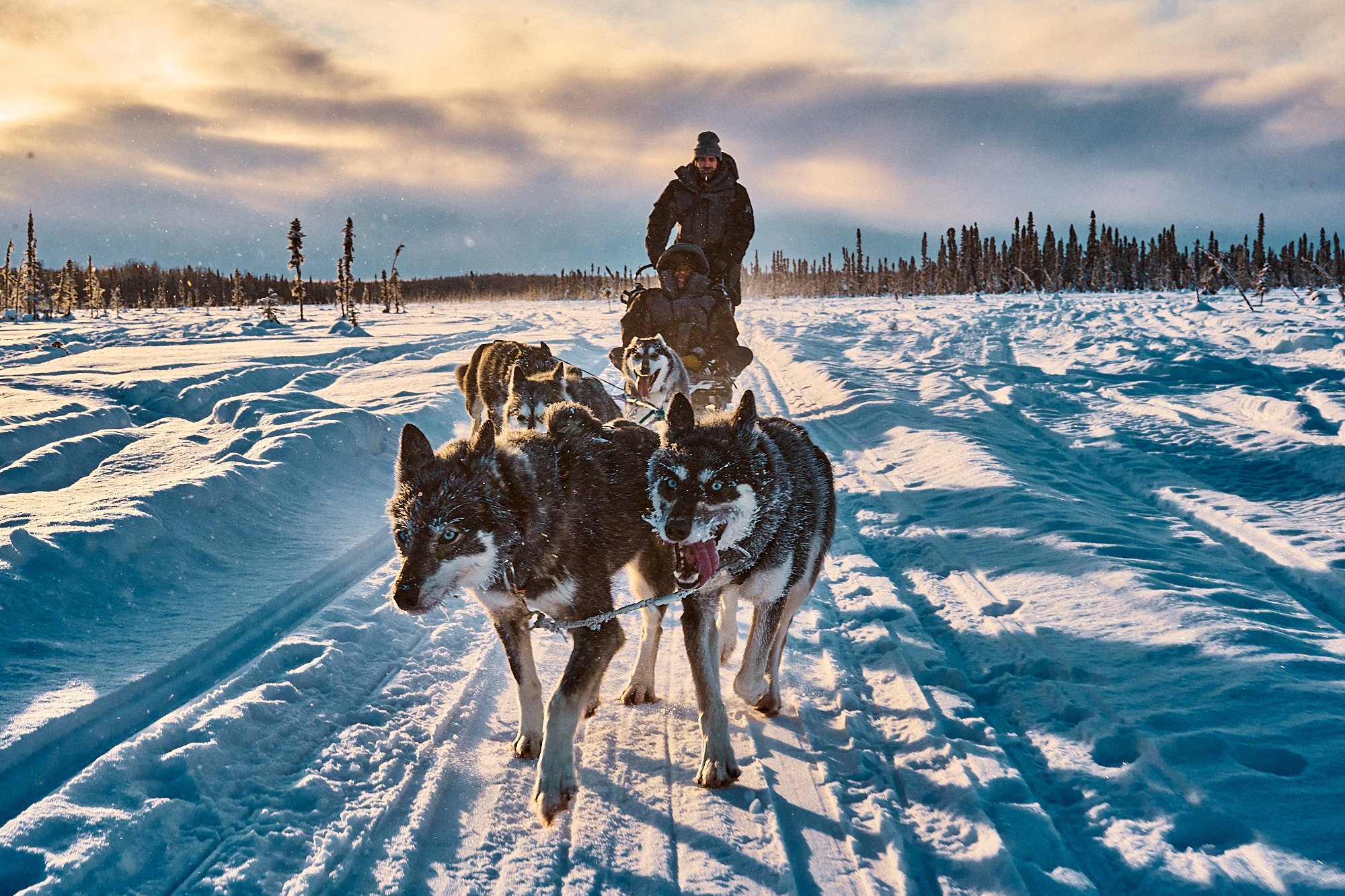 KPL_0116_Alaska_Sleddogs_WillowAirbnb_Kale.1719.jpg