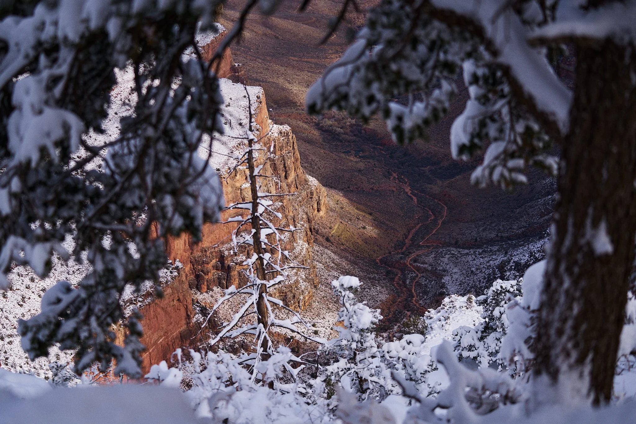 KPL_20240209_GrandCanyonPersonal_SnowStorm.0096.jpg