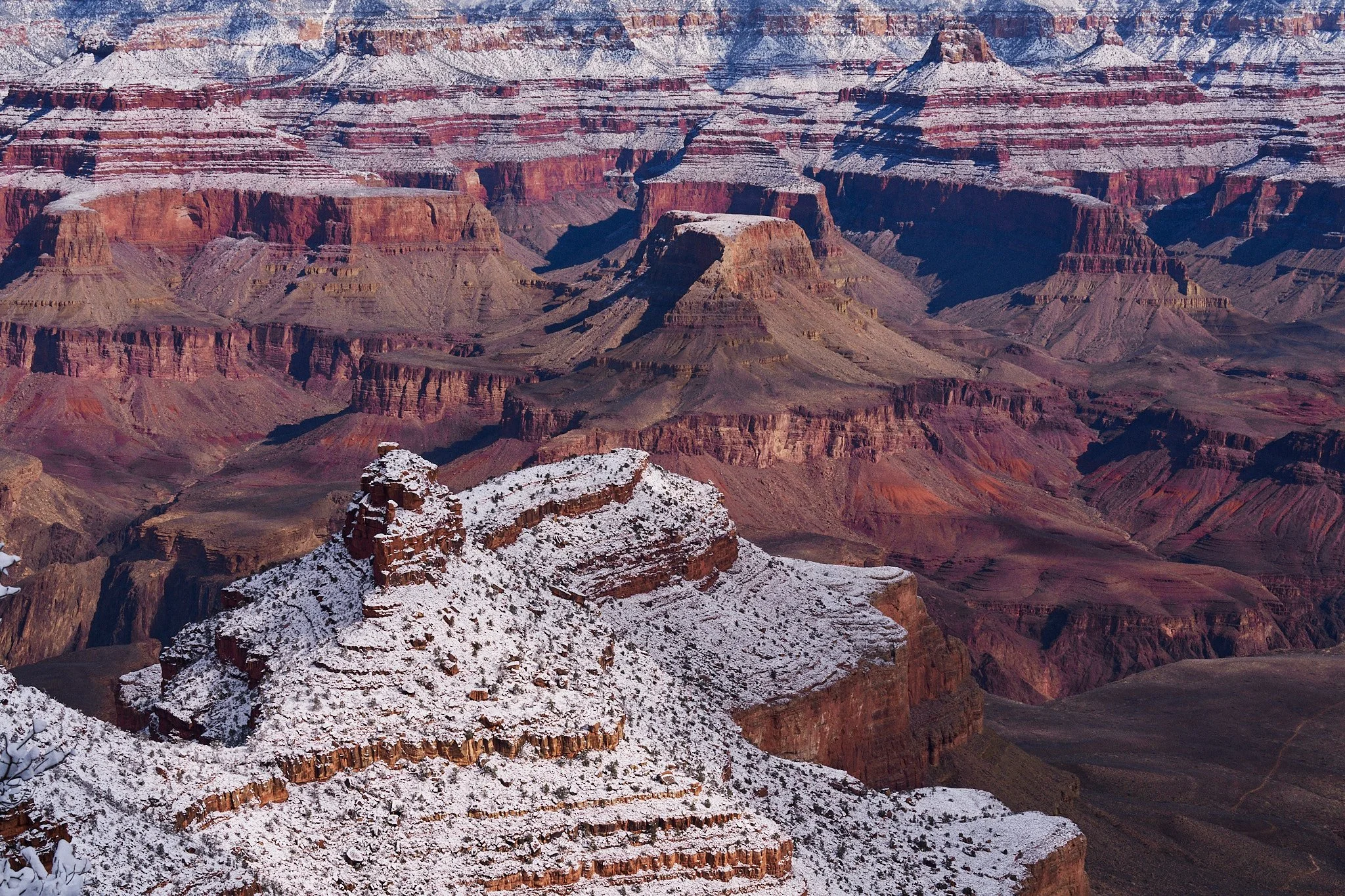 KPL_20240209_GrandCanyonPersonal_SnowStorm.0074 1.jpg
