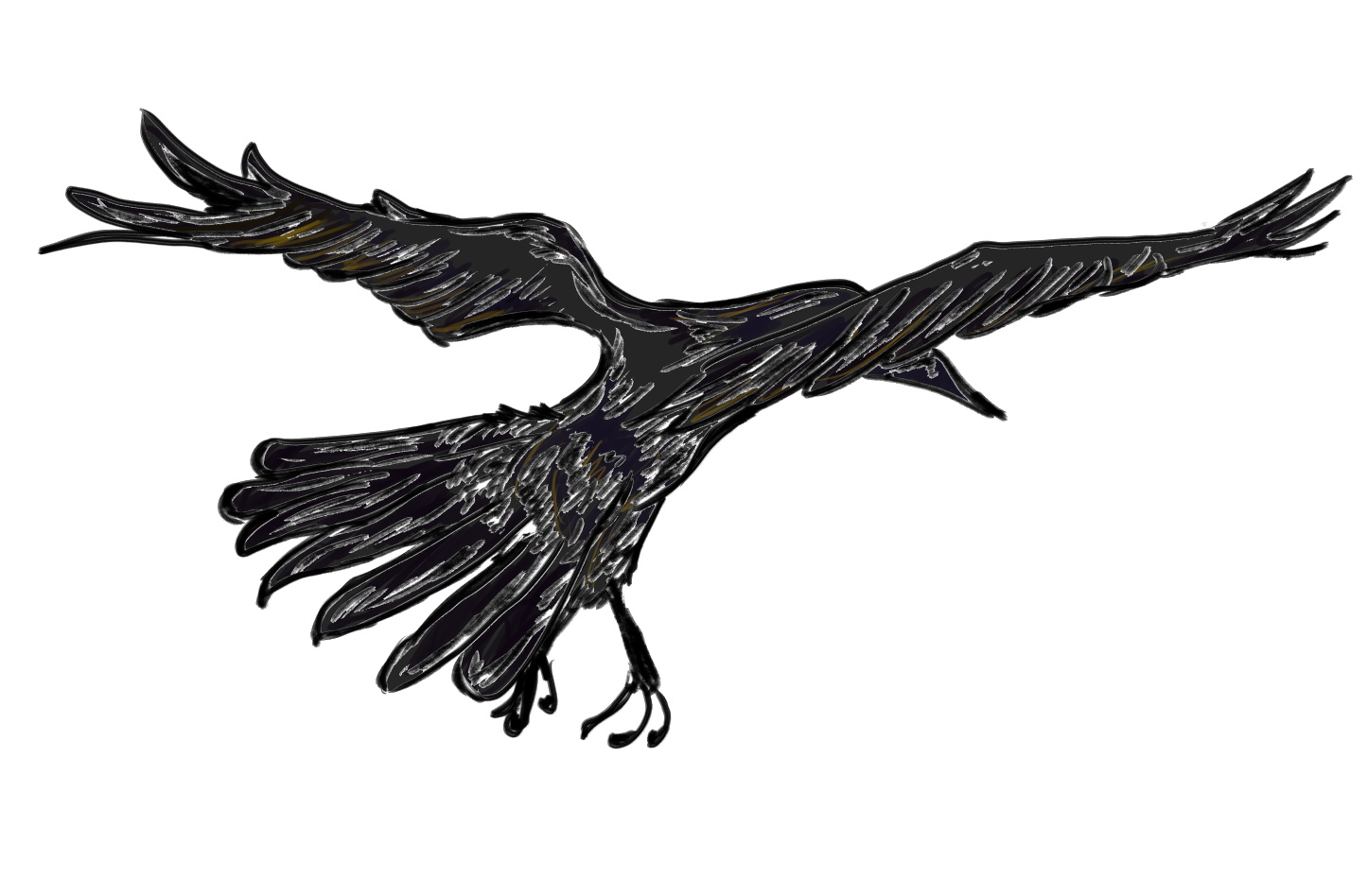crow flight.png