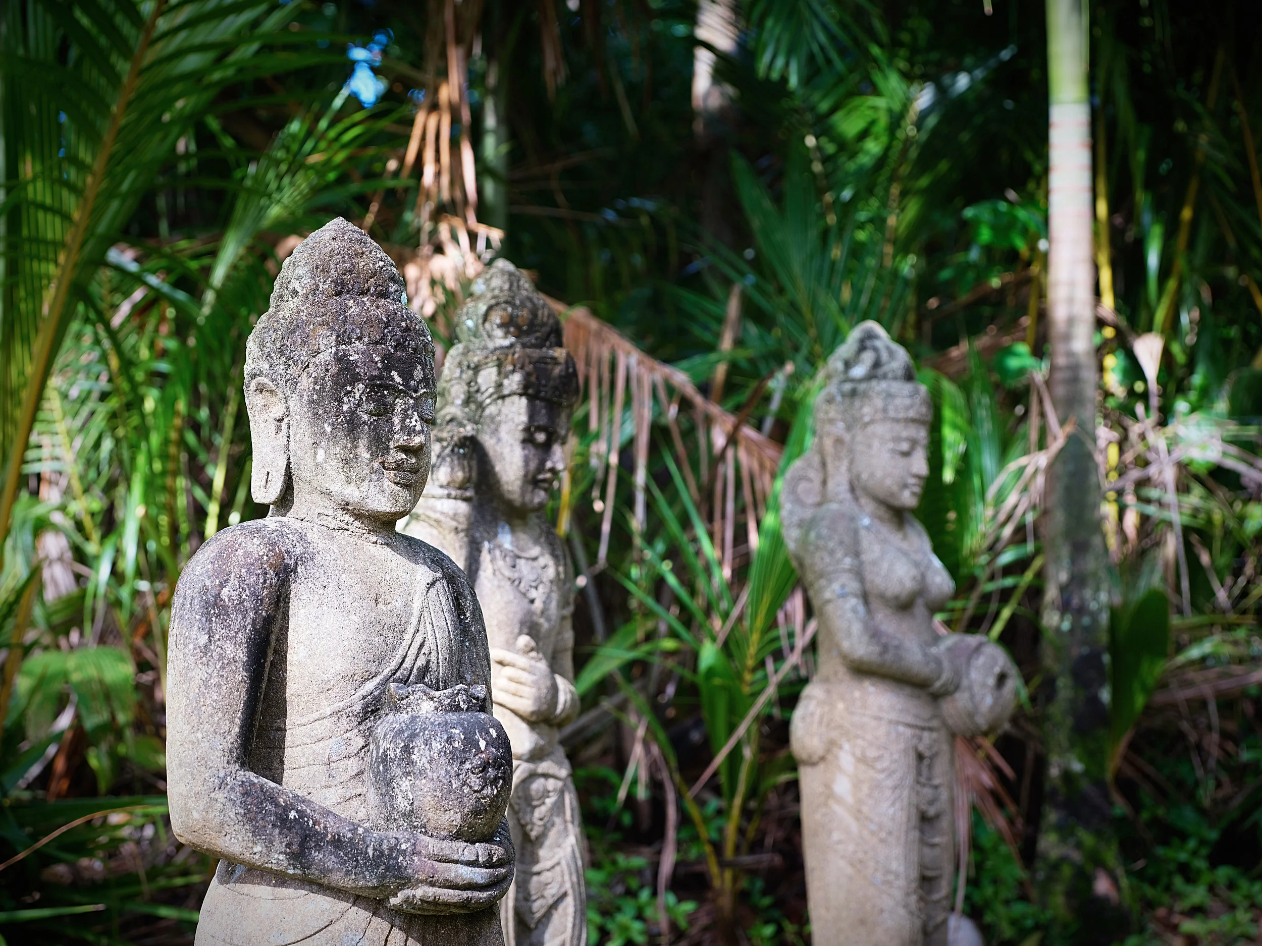 MH - Murti3 - Driveway.jpg