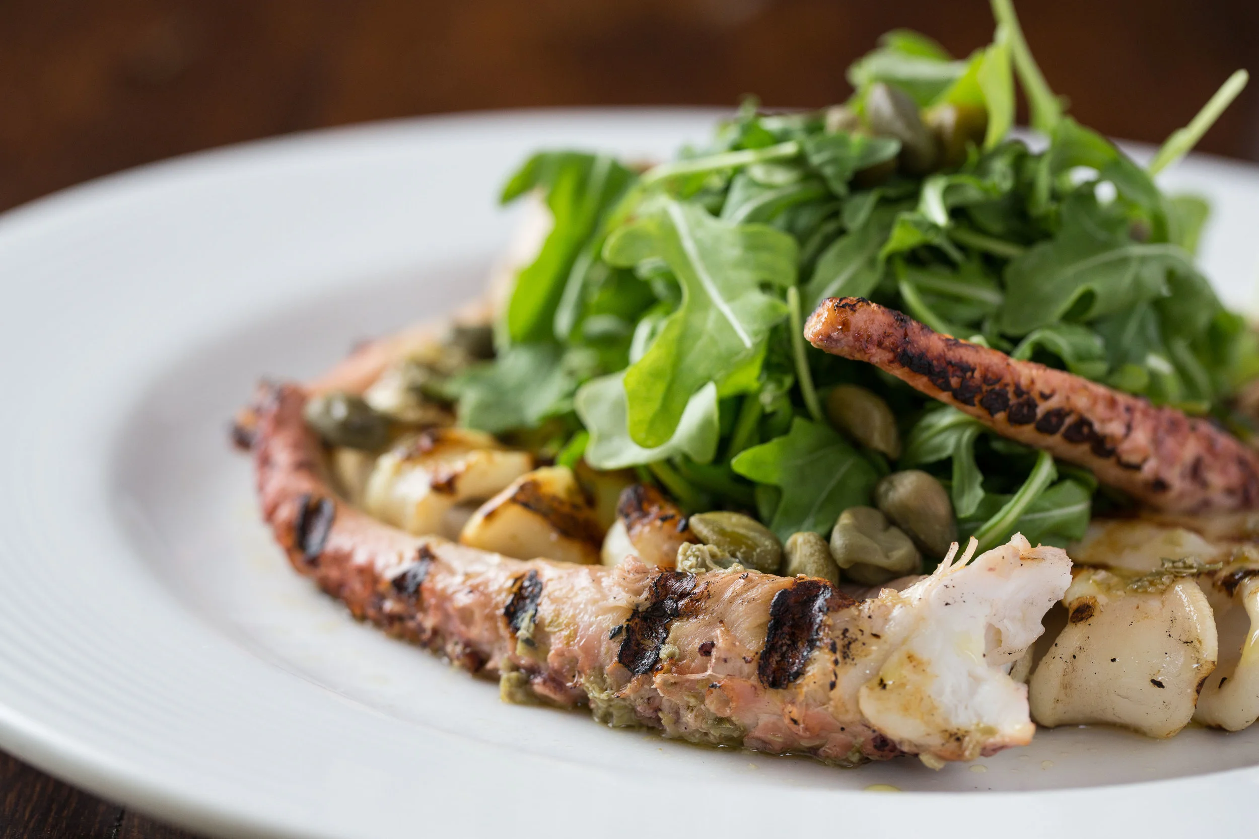 GALDOPHOTO Piccolo Sogno 17MAY2017-16.jpg