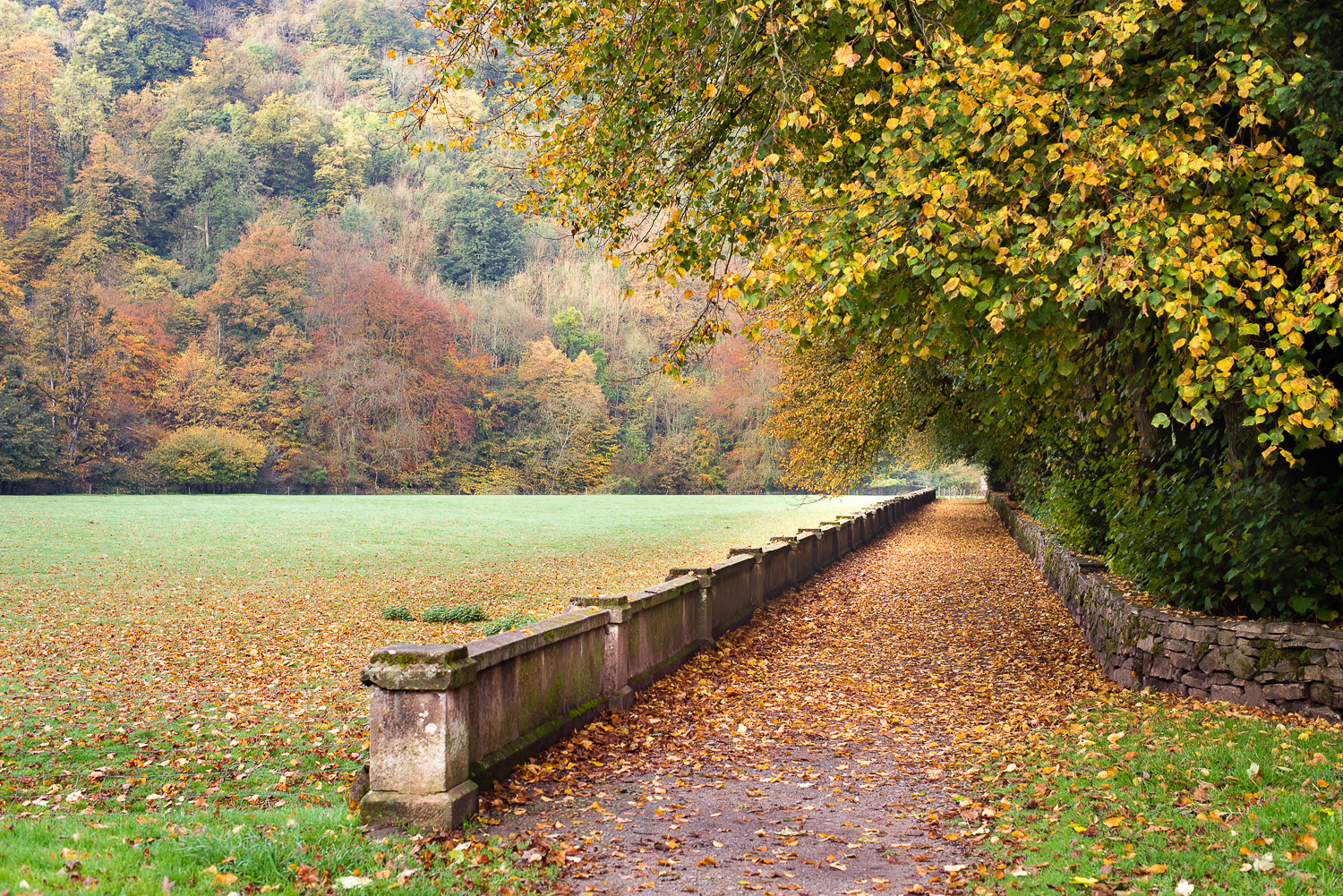 _DSC2207-illam-hall.JPG