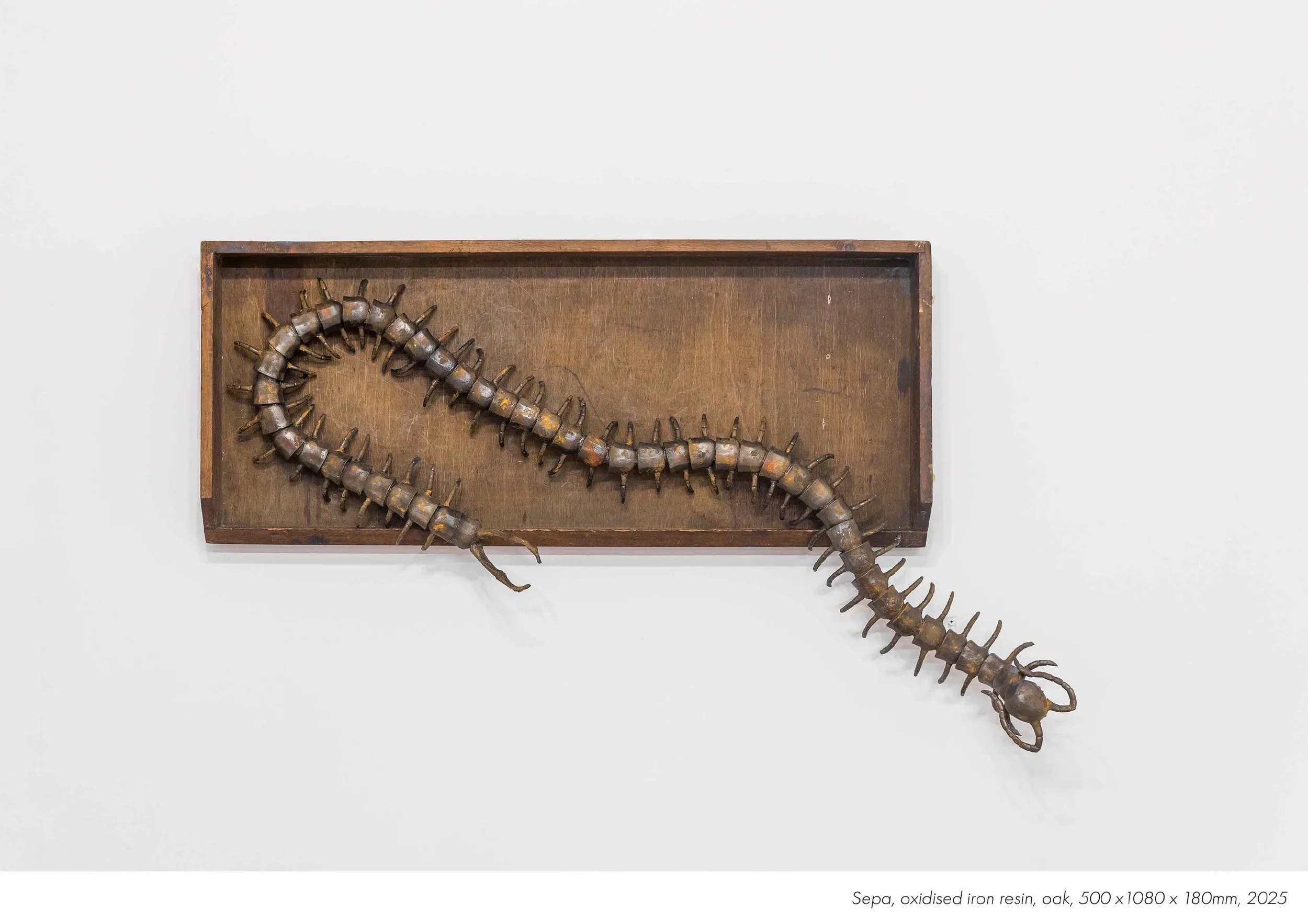 Jed_Buttress_sepa_sculpture_image_credit_matt_denham.jpg