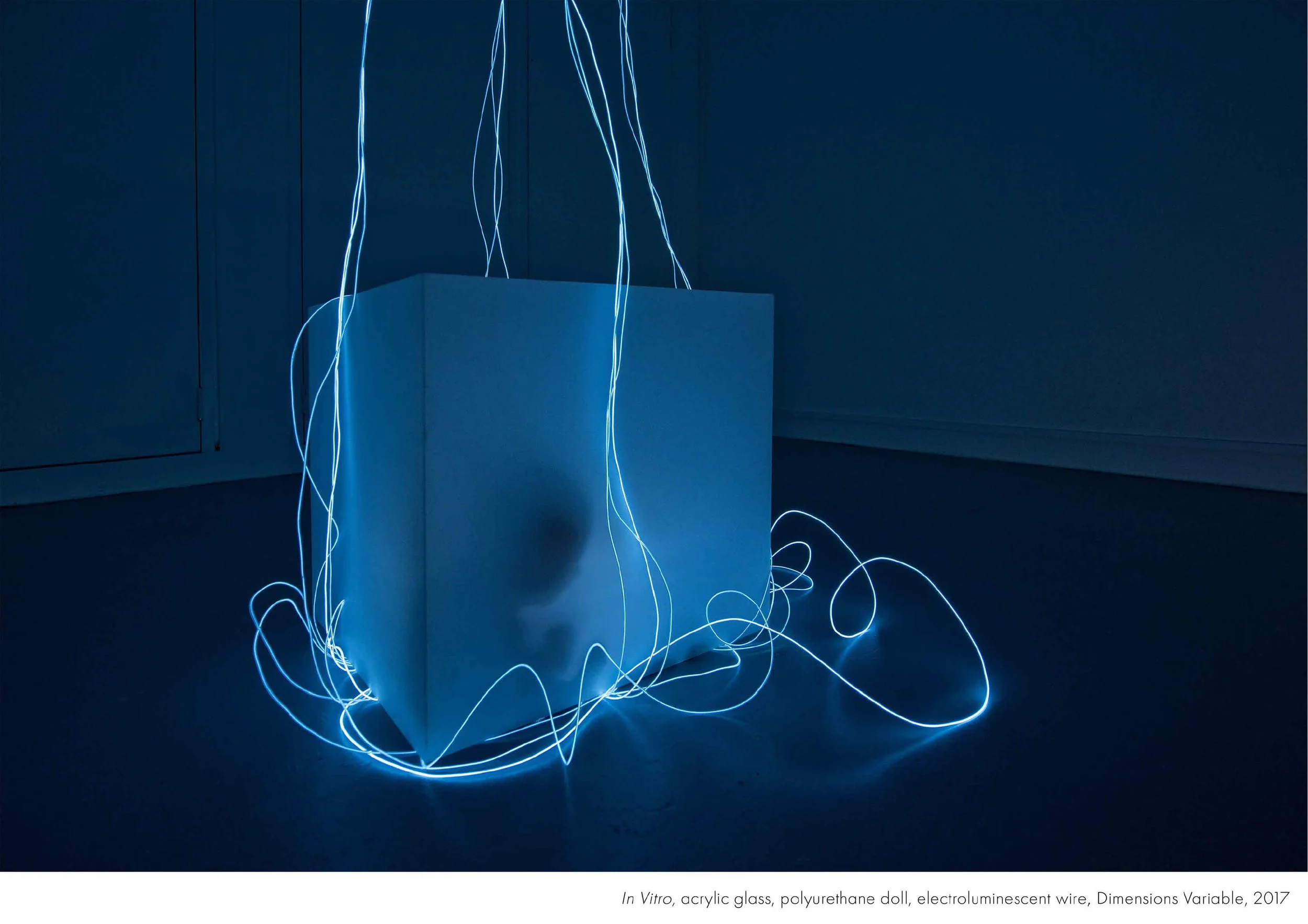 Jed_Buttress_in_vitro_sculpture_image_credit_colin_davison.jpg
