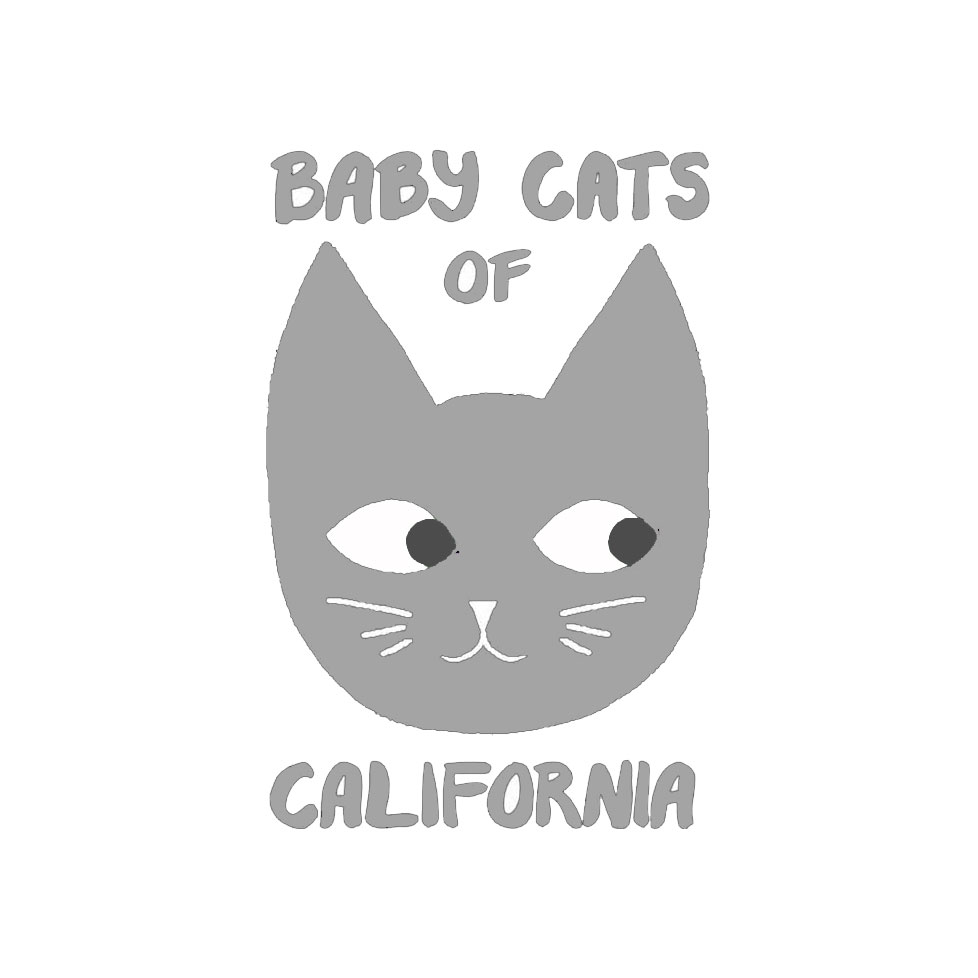 BABY_CATS.jpg